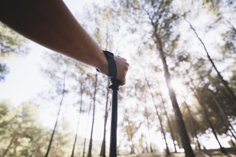 crop-hand-man-forest